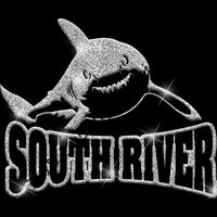 GLT32 SILVER GLITTER Thumbnail